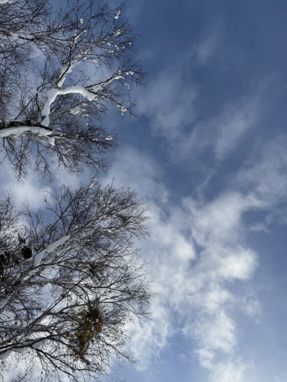 冬の青空