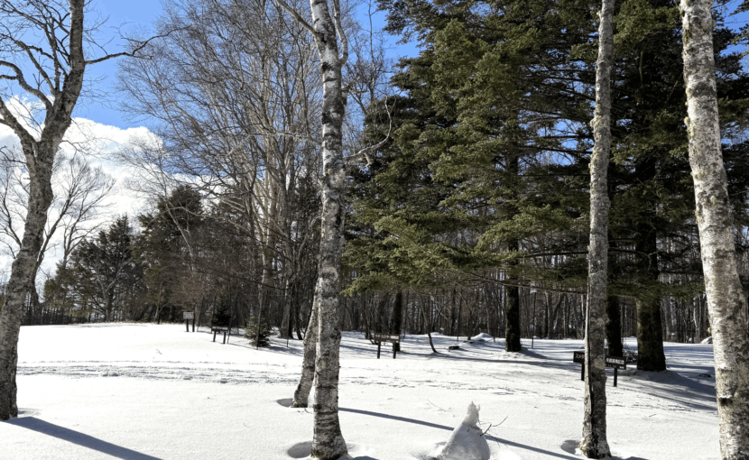 冬の八ヶ岳高原